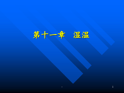 11第十一章-湿温PPT课件