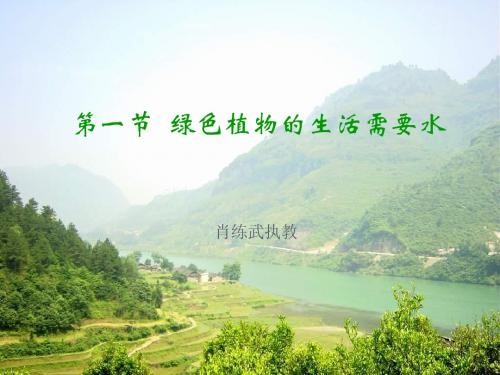 绿色植物的生活需要水