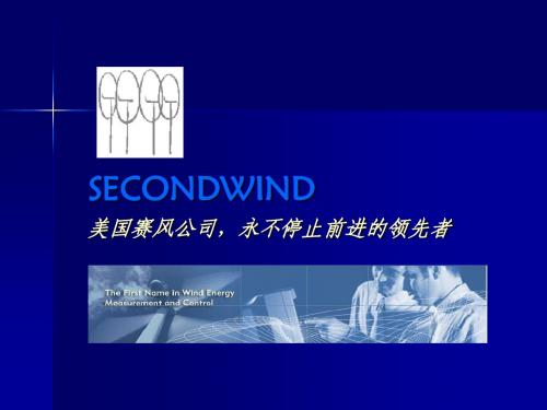 赛风软件简单教程