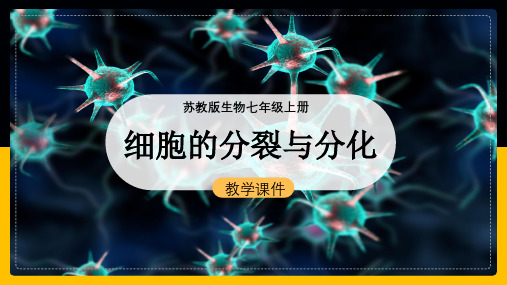 初中生物苏教版七年级上册《3.3细胞分裂与分化》教学课件(完美版)