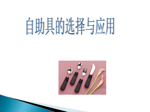 个人移动的辅助器具和自助器具