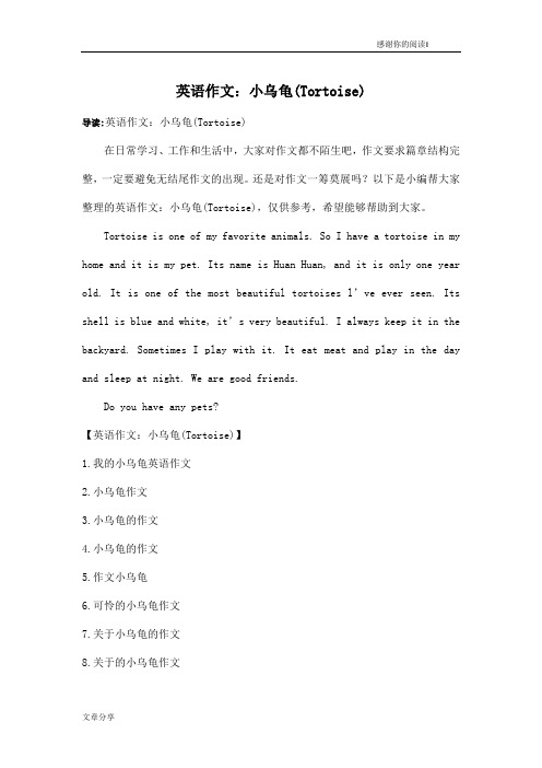 英语作文：小乌龟(Tortoise)
