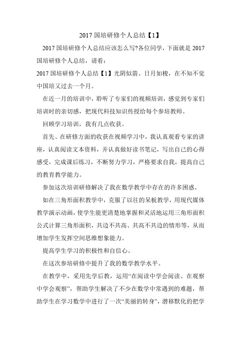 2017国培研修个人总结【1】.doc