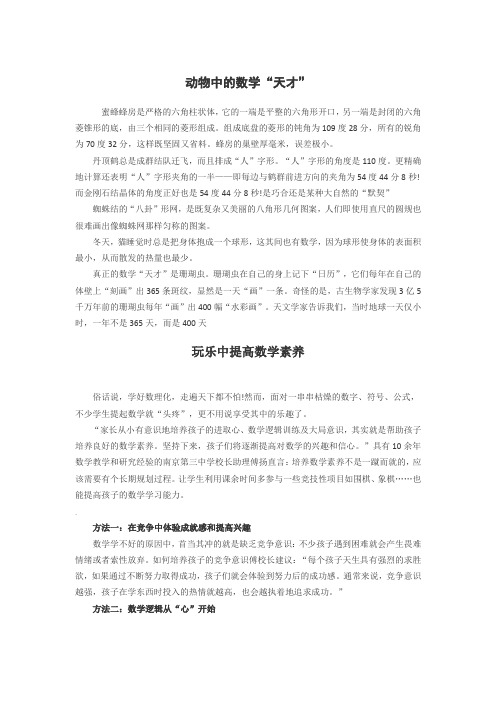 动物中的数学