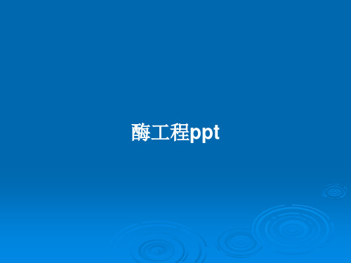 酶工程pptPPT学习教案