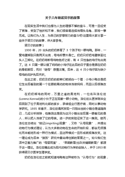 关于六年级诺贝尔的故事