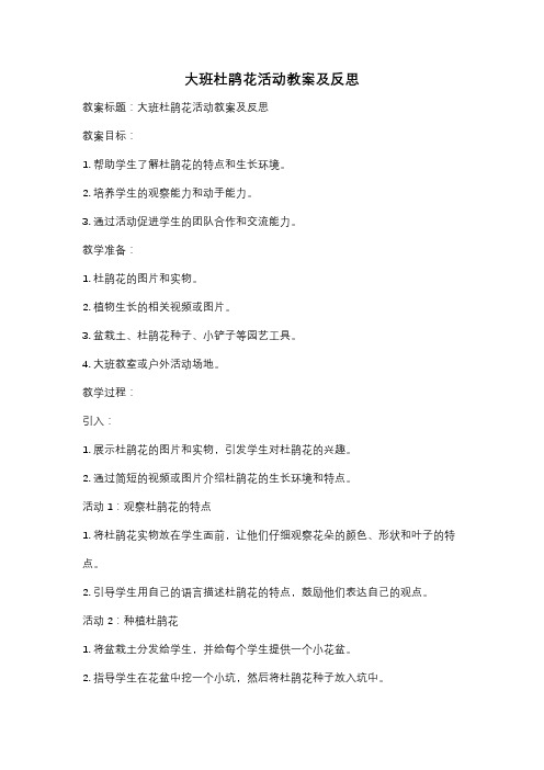大班杜鹃花活动教案及反思