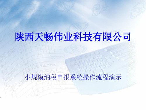 天畅小规模纳税申报系统操作流程