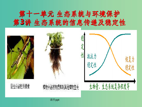 高考生物一轮复习 第十一单元 第3讲 生态系统的信息传递及稳定性