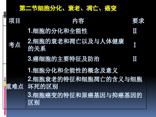 6.2 细胞的分化 课件 人教版高中生物必修一