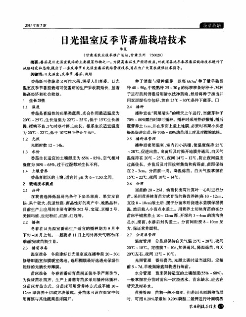 日光温室反季节番茄栽培技术