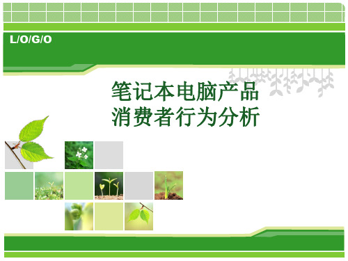 笔记本电脑产品消费者行为分析-精品文档