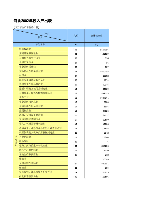河北2002投入产出表