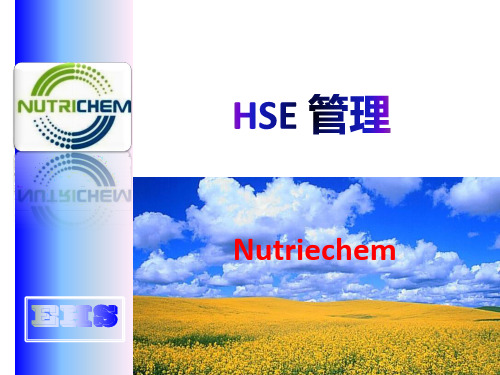 EHS管理理念PPT课件