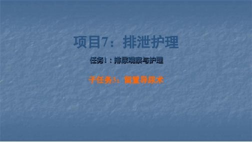 排尿观察与护理留置导尿术PPT课件