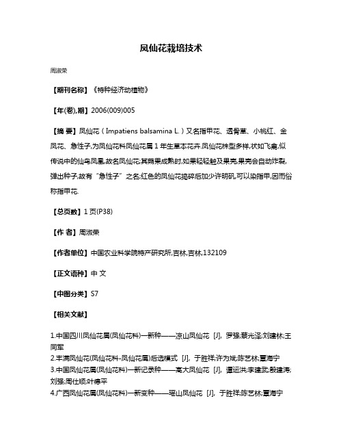 凤仙花栽培技术