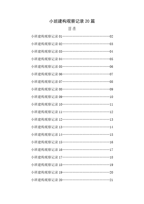 小班个案观察记录20篇