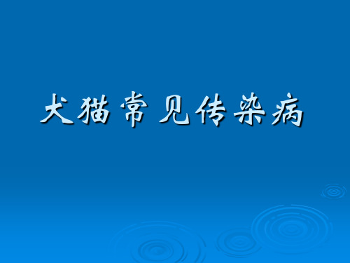 小动物常见传染病
