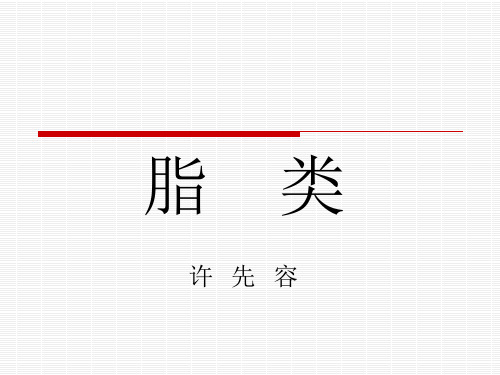 脂类