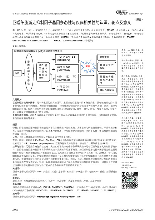 巨噬细胞游走抑制因子基因多态性与疾病相关性的认识、靶点及意义