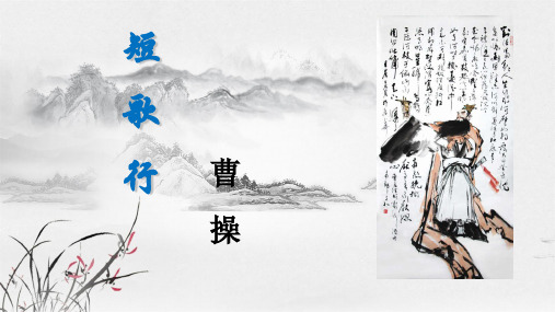 《短歌行》ppt课件  