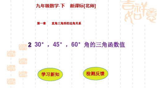 北师大九年级数学下第一章直角三角形的边角关系课件
