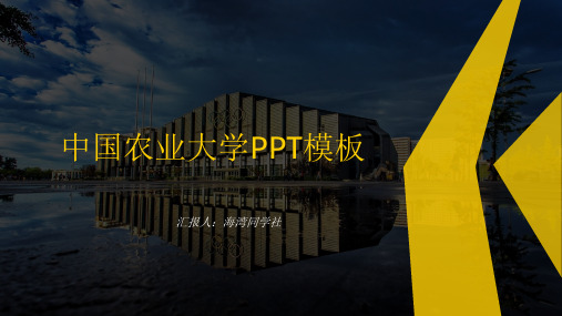 中国农业大学专用-商务风格-PPT模板3