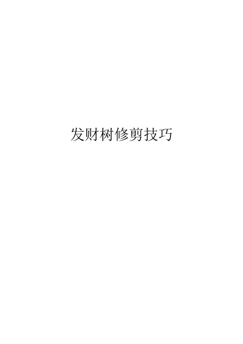 发财树修剪技巧