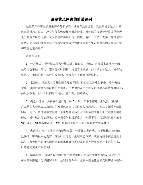 温室黄瓜冷害的简易识别