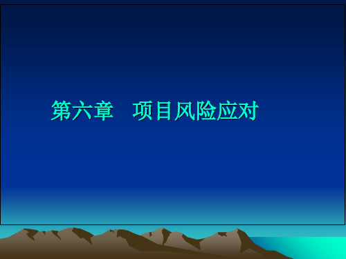 第6章项目风险应对