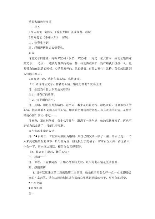 番茄太阳教学实录2