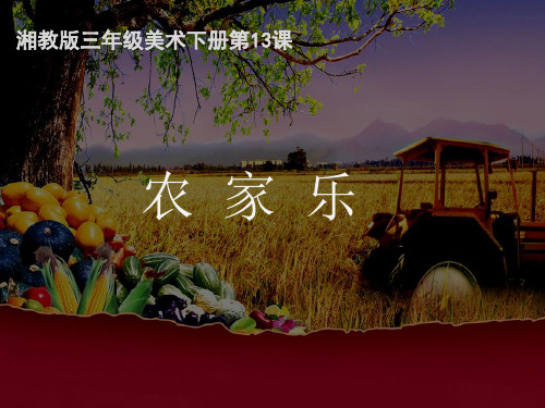 湘美版美术三年级下册课件-13. 农家乐5