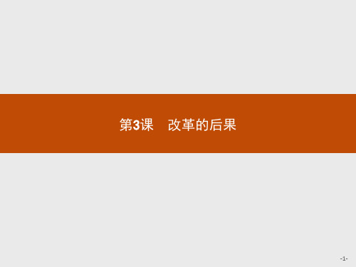 人教版选修1课件：6.3 改革的后果