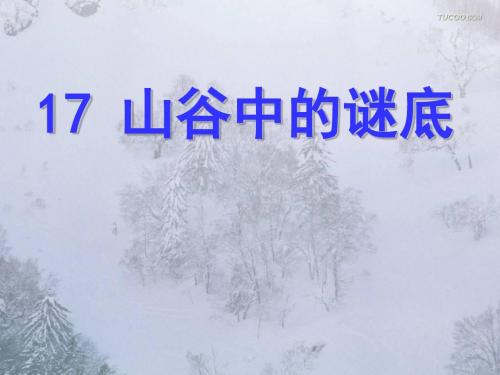 17山谷中的谜底ppt
