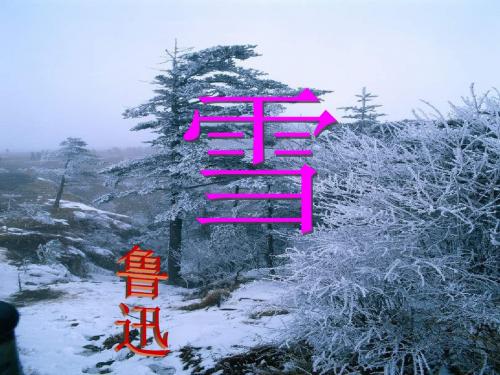 鲁迅《雪》(共20张PPT)