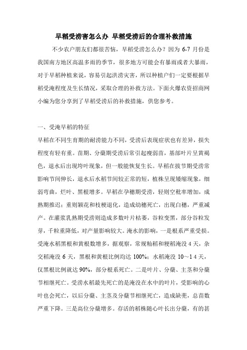 早稻受涝害怎么办 早稻受涝后的合理补救措施.doc