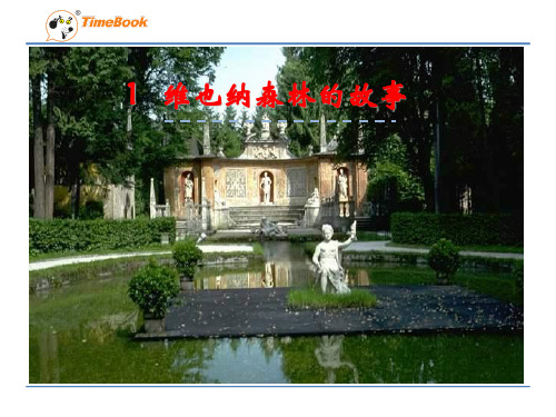 六年级语文下1维也纳森林的故事(苏教版)精选教学PPT课件