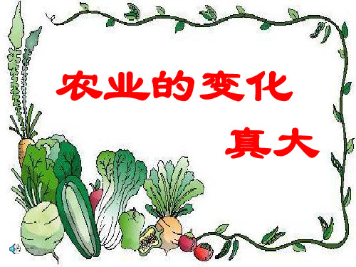 34_农业的变化真大课件