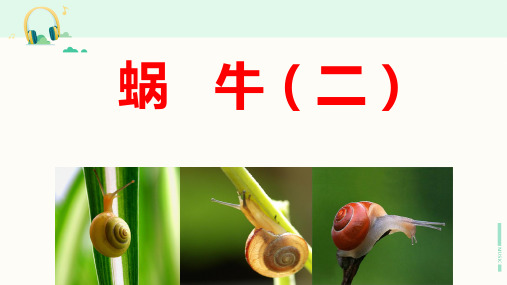 教科版科学三年级上册《蜗牛 (二)》课件