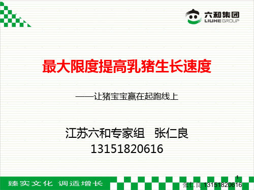 乳猪料使用方法PPT课件