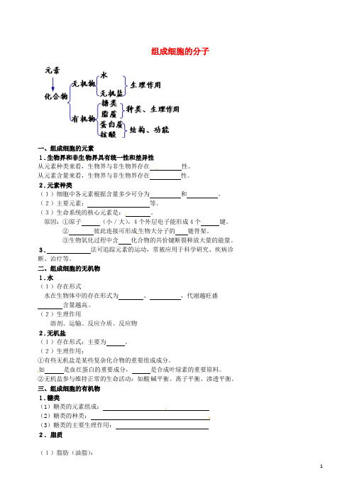 北京市高考生物一轮复习 例题讲解 专题 组成细胞的分子学案(无答案)