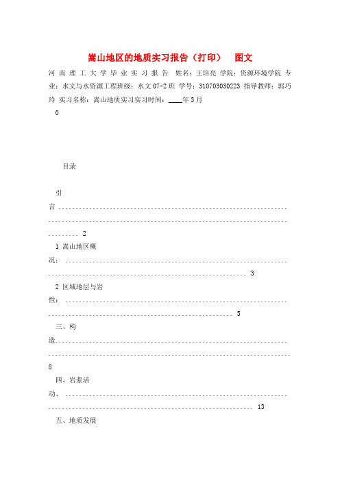 嵩山地区的地质实习报告(打印)  图文 