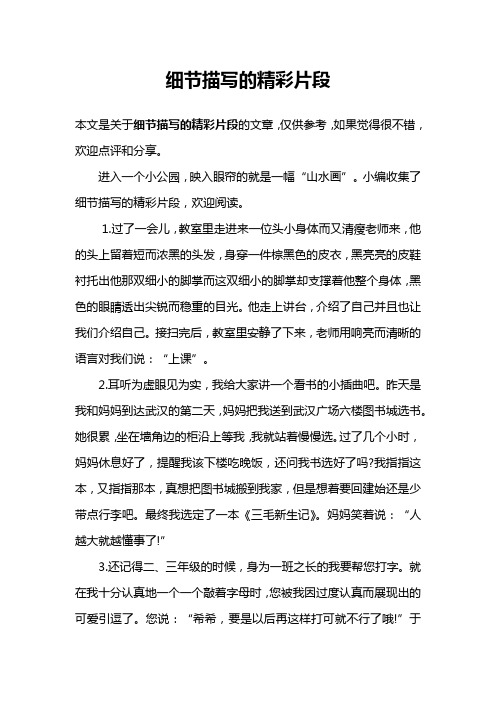 细节描写的精彩片段
