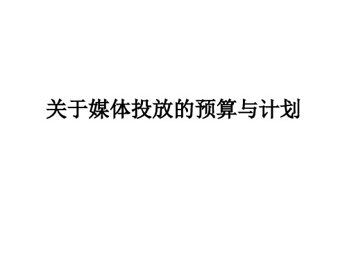 关于媒体投放的预算与计划PPT