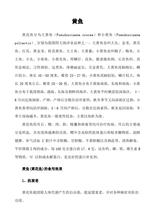 黄鱼