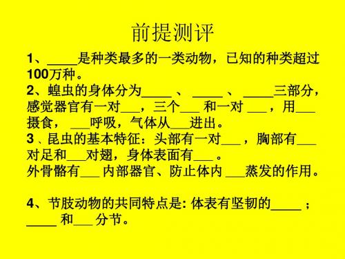 【初中生物】人教新课标七年级上册生物5.1.4鱼(共55张PPT)