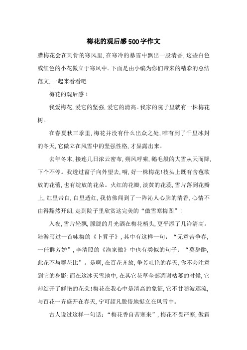 最新梅花的观后感500字作文