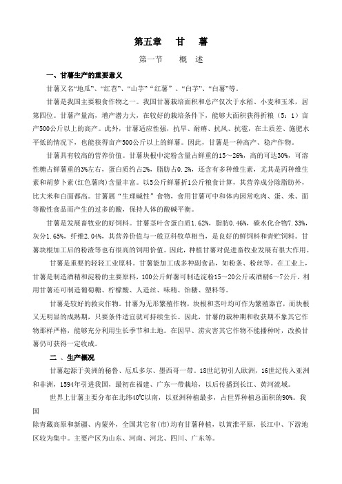 甘薯生产的重要意义.doc