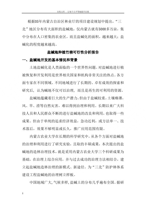 盐碱地种植竹柳可行性分析报告[1]