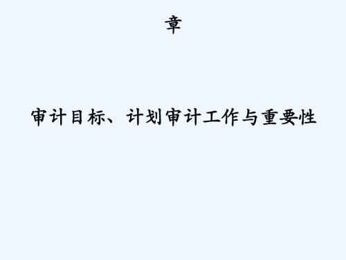 #二审计目标与审计重要性(审计目标)